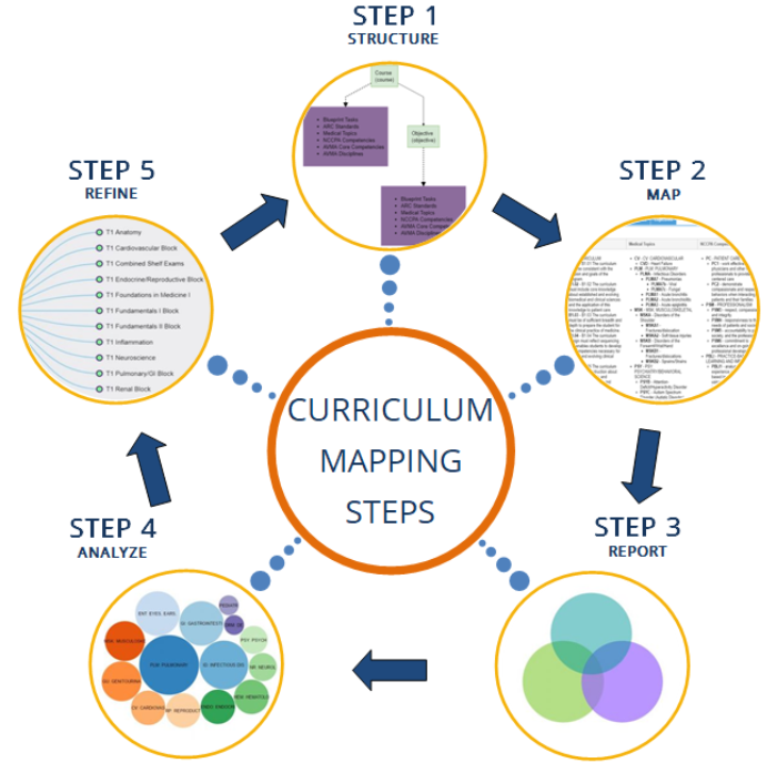 curriculum mapping image