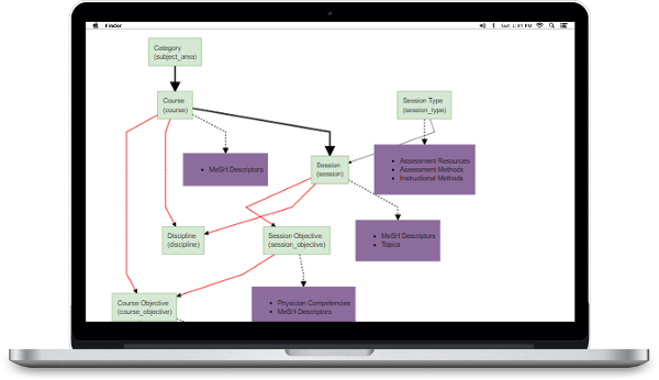 ci curriculum structure